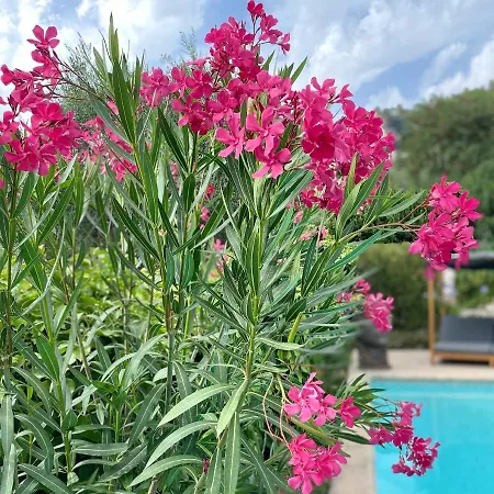 Bastide Aina Et Piscine Privat bolig *