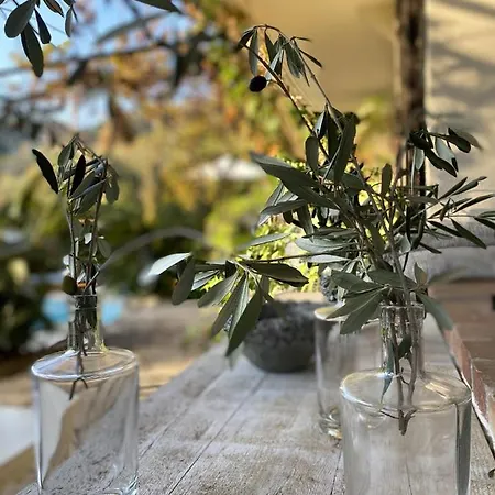 Accommodatie bij particulieren Bastide Aina Et Piscine *