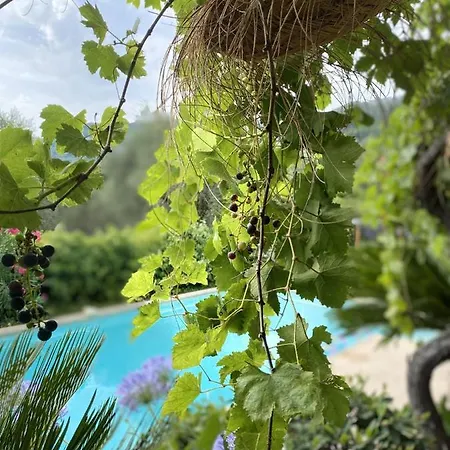 Bastide Aina Et Piscine Accommodatie bij particulieren